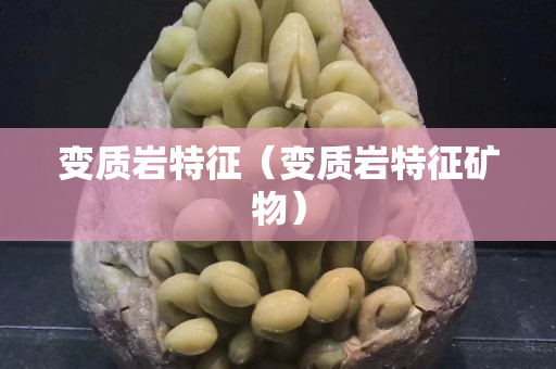 变质岩特征（变质岩特征矿物）