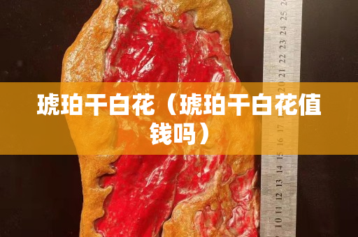琥珀干白花（琥珀干白花值钱吗）