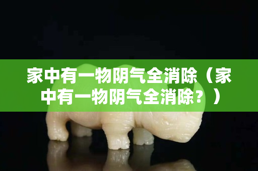 家中有一物阴气全消除（家中有一物阴气全消除？）