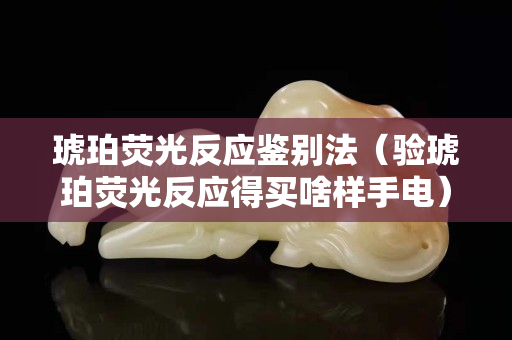 琥珀荧光反应鉴别法（验琥珀荧光反应得买啥样手电）