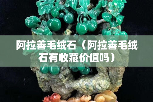 阿拉善毛绒石（阿拉善毛绒石有收藏价值吗）