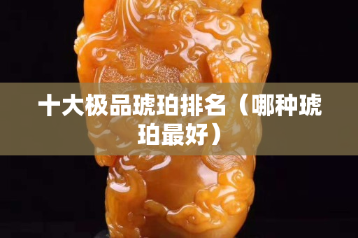 十大极品琥珀排名（哪种琥珀最好）