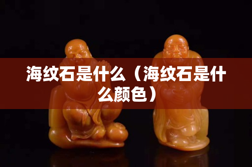 海纹石是什么（海纹石是什么颜色）