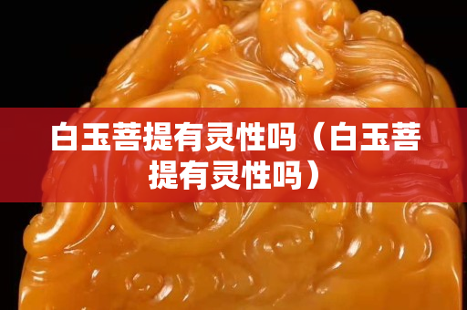 白玉菩提有灵性吗（白玉菩提有灵性吗）