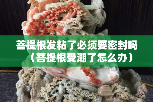 菩提根发粘了必须要密封吗（菩提根受潮了怎么办）