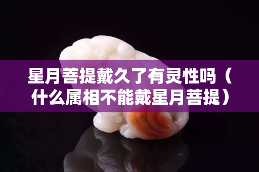 星月菩提戴久了有灵性吗（什么属相不能戴星月菩提）