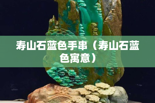 寿山石蓝色手串（寿山石蓝色寓意）