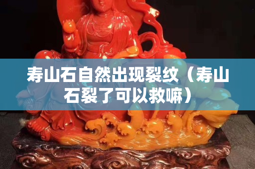 寿山石自然出现裂纹（寿山石裂了可以救嘛）