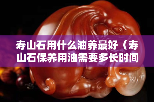 寿山石用什么油养最好（寿山石保养用油需要多长时间）