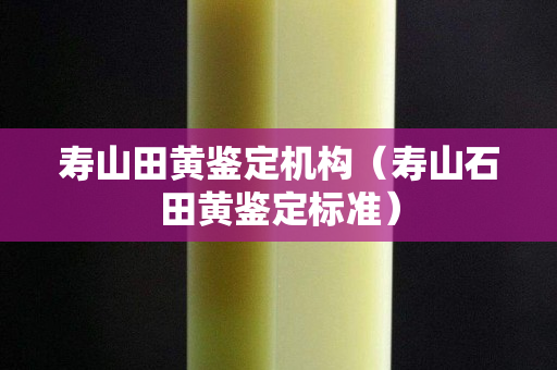 寿山田黄鉴定机构（寿山石田黄鉴定标准）