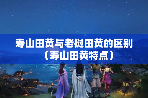 寿山田黄与老挝田黄的区别（寿山田黄特点）