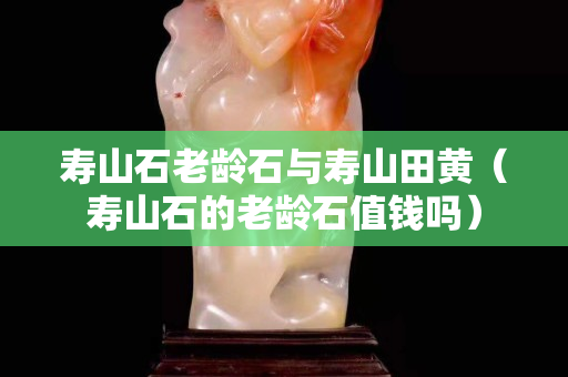 寿山石老龄石与寿山田黄（寿山石的老龄石值钱吗）