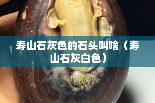 寿山石灰色的石头叫啥（寿山石灰白色）