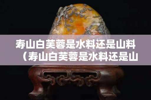寿山白芙蓉是水料还是山料（寿山白芙蓉是水料还是山料呢）