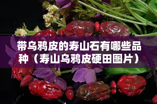 带乌鸦皮的寿山石有哪些品种（寿山乌鸦皮硬田图片）