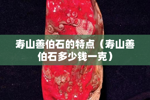 寿山善伯石的特点（寿山善伯石多少钱一克）
