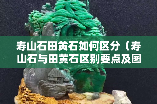 寿山石田黄石如何区分（寿山石与田黄石区别要点及图片）