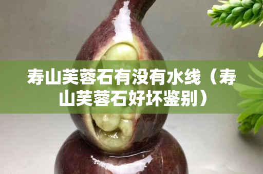 寿山芙蓉石有没有水线（寿山芙蓉石好坏鉴别）