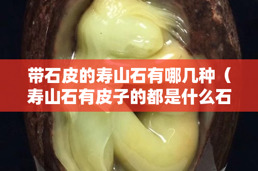 带石皮的寿山石有哪几种（寿山石有皮子的都是什么石头）