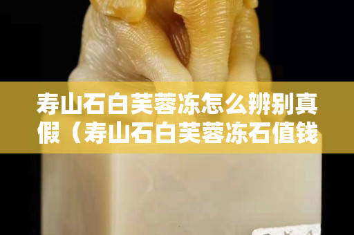 寿山石白芙蓉冻怎么辨别真假（寿山石白芙蓉冻石值钱吗）