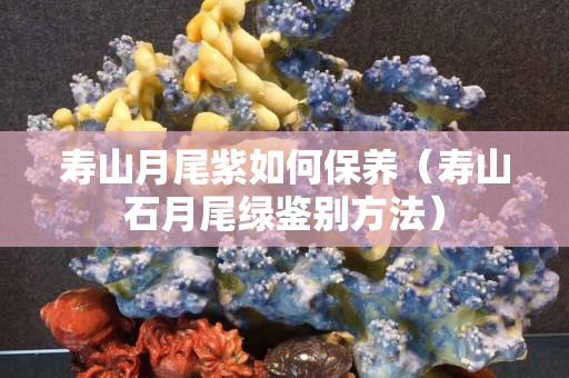 寿山月尾紫如何保养（寿山石月尾绿鉴别方法）