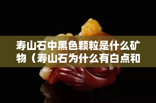 寿山石中黑色颗粒是什么矿物（寿山石为什么有白点和黑点）