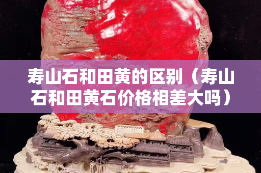 寿山石和田黄的区别（寿山石和田黄石价格相差大吗）