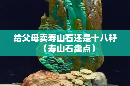 给父母卖寿山石还是十八籽（寿山石卖点）