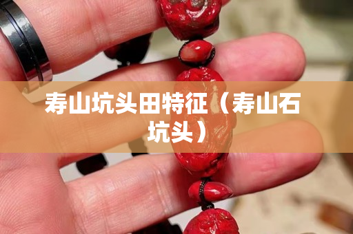 寿山坑头田特征（寿山石 坑头）