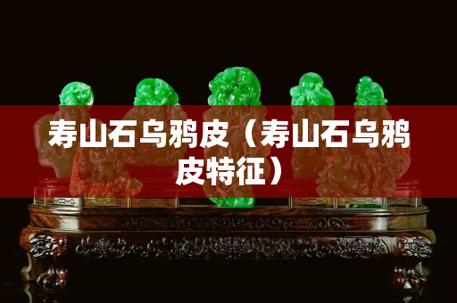 寿山石乌鸦皮（寿山石乌鸦皮特征）