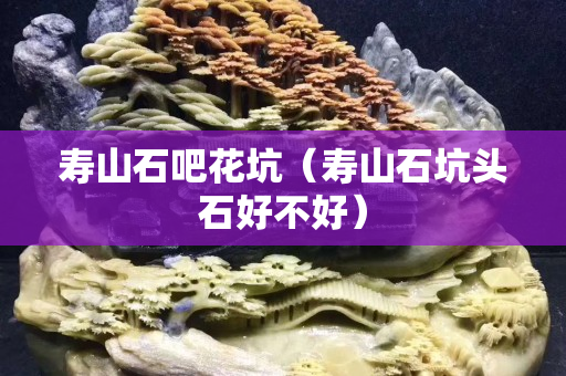 寿山石吧花坑（寿山石坑头石好不好）