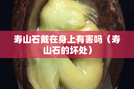 寿山石戴在身上有害吗（寿山石的坏处）