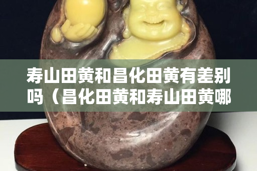 寿山田黄和昌化田黄有差别吗（昌化田黄和寿山田黄哪个贵）