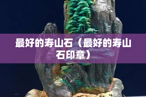 最好的寿山石（最好的寿山石印章）