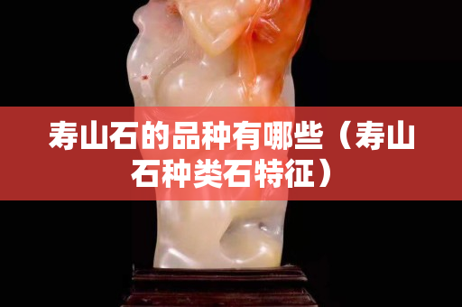 寿山石的品种有哪些（寿山石种类石特征）