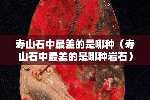 寿山石中最差的是哪种（寿山石中最差的是哪种岩石）