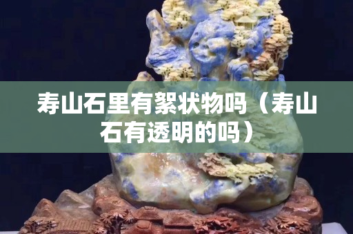 寿山石里有絮状物吗（寿山石有透明的吗）