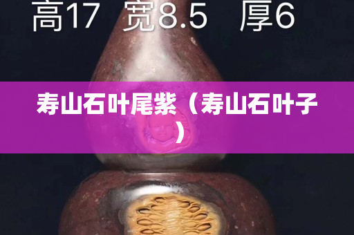 寿山石叶尾紫（寿山石叶子）