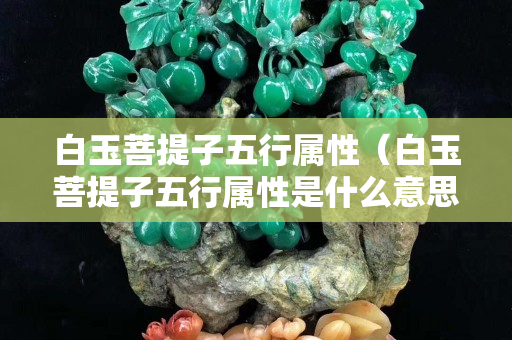 白玉菩提子五行属性（白玉菩提子五行属性是什么意思）