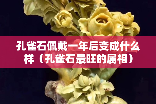 孔雀石佩戴一年后变成什么样（孔雀石最旺的属相）