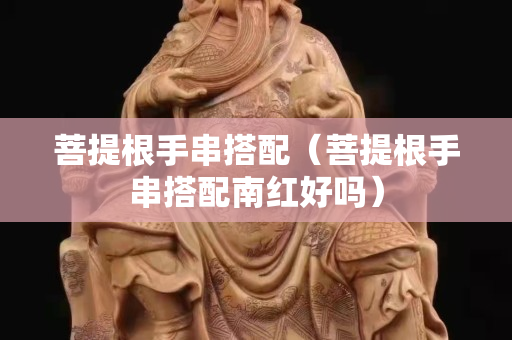 菩提根手串搭配（菩提根手串搭配南红好吗）