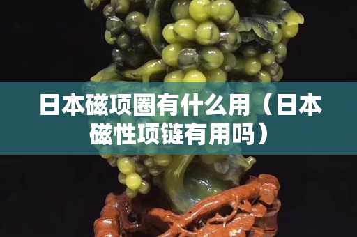 日本磁项圈有什么用（日本磁性项链有用吗）