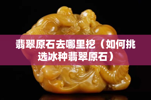 翡翠原石去哪里挖（如何挑选冰种翡翠原石）