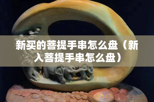 新买的菩提手串怎么盘（新入菩提手串怎么盘）