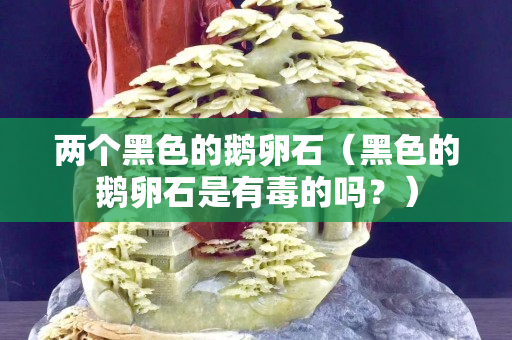 两个黑色的鹅卵石（黑色的鹅卵石是有毒的吗？）