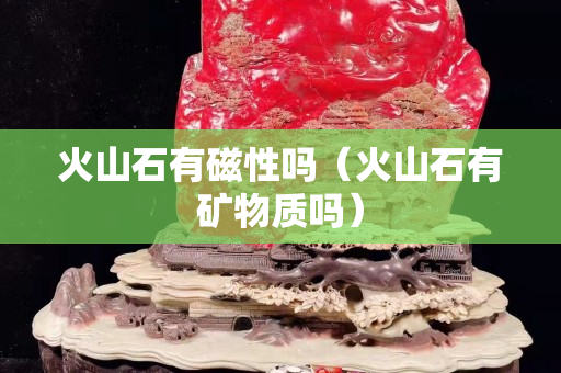 火山石有磁性吗（火山石有矿物质吗）