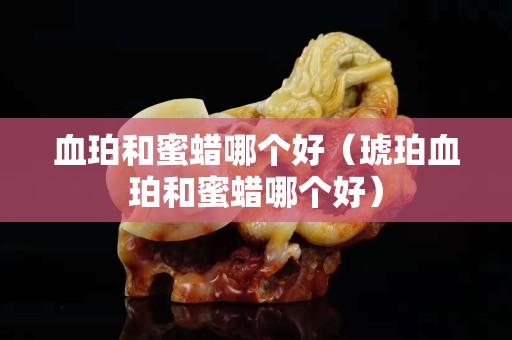 血珀和蜜蜡哪个好（琥珀血珀和蜜蜡哪个好）