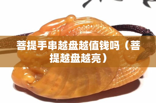 菩提手串越盘越值钱吗（菩提越盘越亮）
