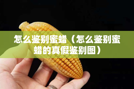怎么鉴别蜜蜡（怎么鉴别蜜蜡的真假鉴别图）