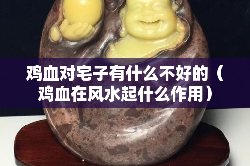 鸡血对宅子有什么不好的（鸡血在风水起什么作用）